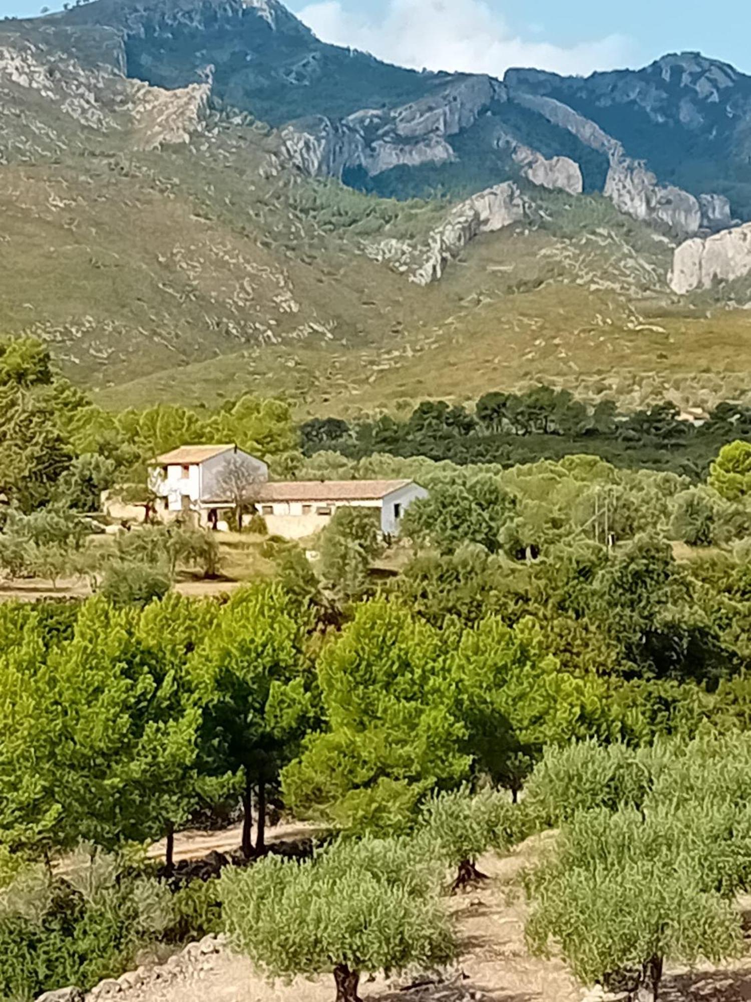 Casa Solans - Casa Rural Rasquera Extérieur photo